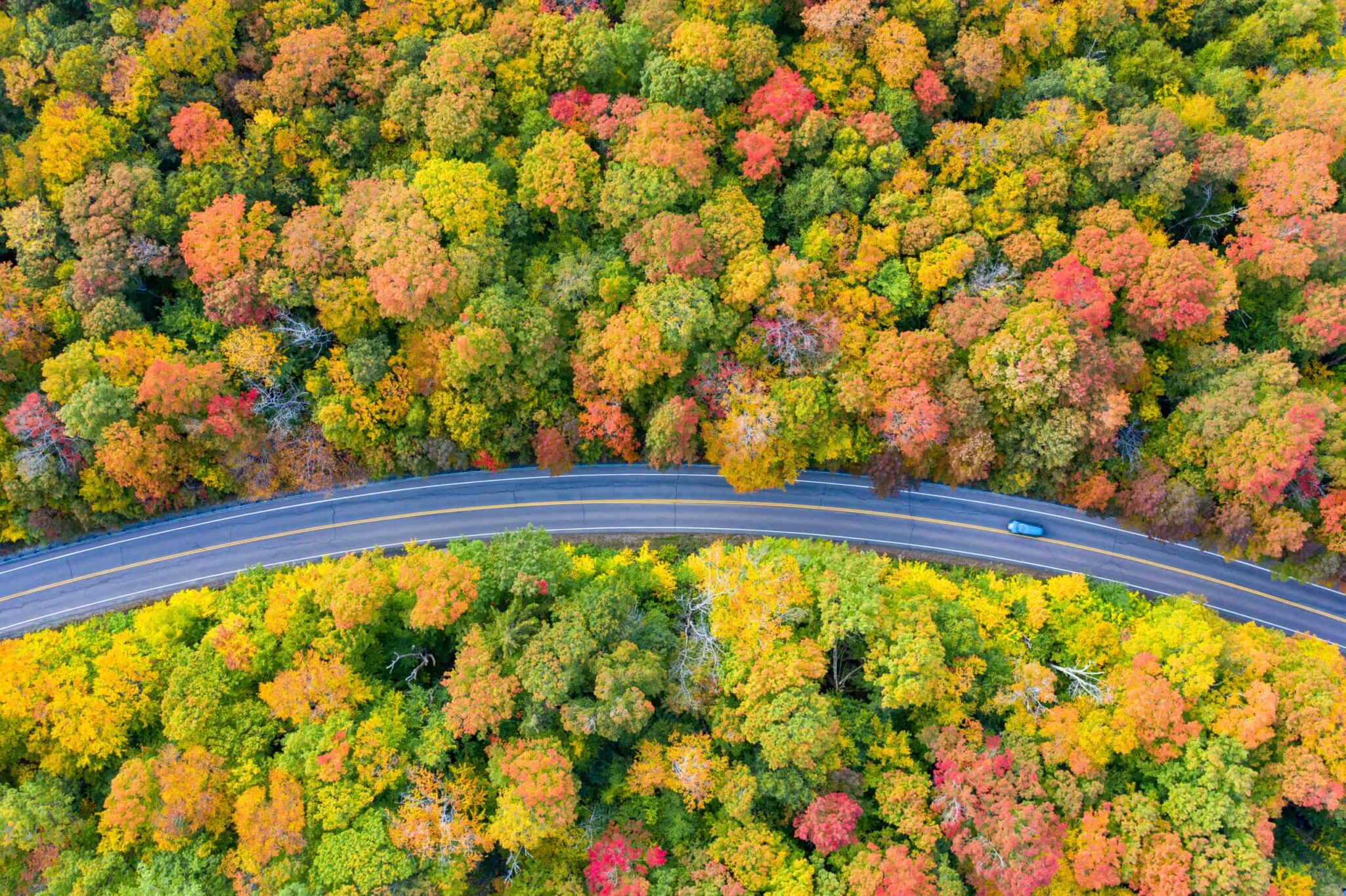 a car driving on a road with forests with leaves changing colors on either side of the road