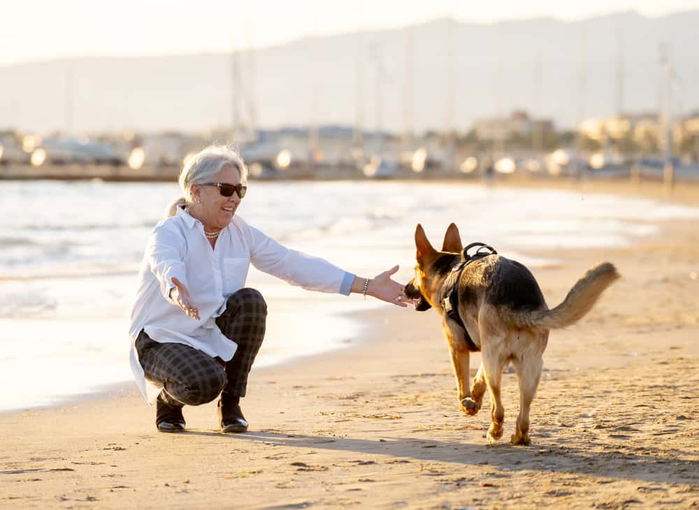 A senior woman crouches down to hug her dog playing on the beach