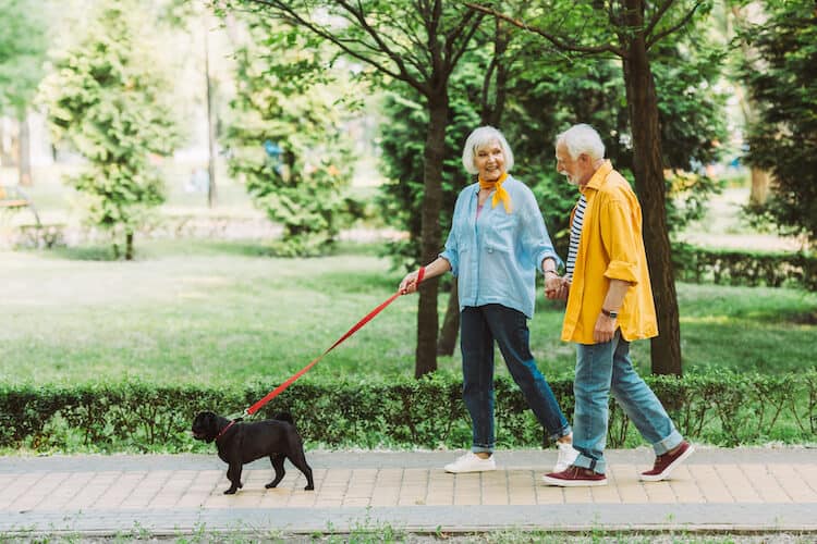 Senior couple walking their dog outdoors.