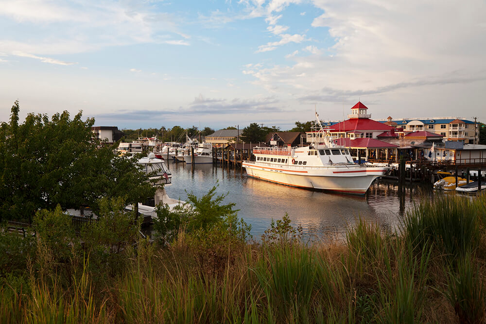 dock with many boats